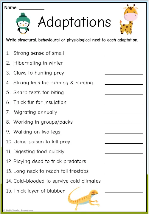 Adaptation Worksheets | Free Printables